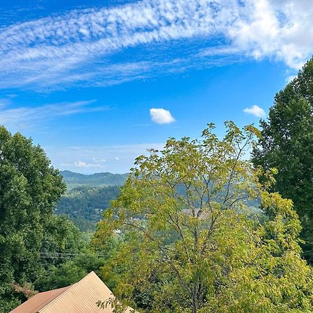 Little Black Bear Retreat Pigeon Forge Esterno foto