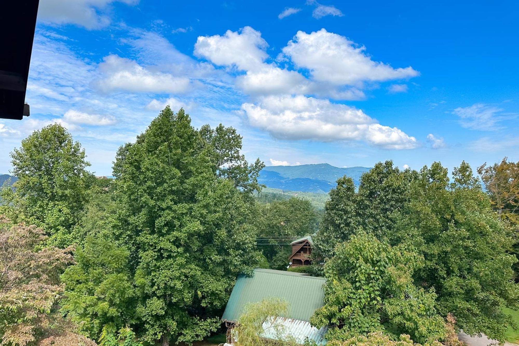 Little Black Bear Retreat Pigeon Forge Esterno foto